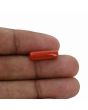 Red Coral (Moonga) - 5.32 Carat 