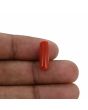 Red Coral (Moonga) - 5.32 Carat 