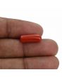 Red Coral (Moonga) - 5.28 Carat 