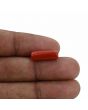 Red Coral (Moonga) - 4.86 Carat 