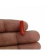 Red Coral (Moonga) - 4.86 Carat 