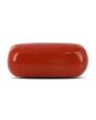 Red Coral (Moonga) - 5.22 Carat 