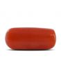 Red Coral (Moonga) - 5.22 Carat 
