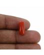 Red Coral (Moonga) - 5.22 Carat 