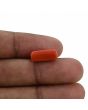 Red Coral (Moonga) - 5.22 Carat 