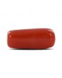 Red Coral (Moonga) - 5.26 Carat 