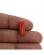 Red Coral (Moonga) - 5.26 Carat 