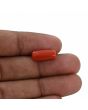 Red Coral (Moonga) - 5.26 Carat 