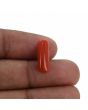 Red Coral (Moonga) - 5.02 Carat 
