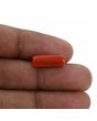 Red Coral (Moonga) - 5.02 Carat 