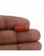 Red Coral (Moonga) - 4.52 Carat 