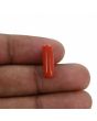 Red Coral (Moonga) - 4.52 Carat 