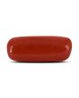 Red Coral (Moonga) - 4.98 Carat 