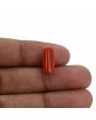 Red Coral (Moonga) - 4.98 Carat 