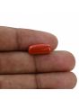 Red Coral (Moonga) - 4.98 Carat 