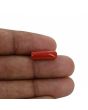 Red Coral (Moonga) - 4.73 Carat 