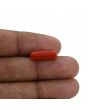 Red Coral (Moonga) - 4.73 Carat 