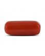 Red Coral (Moonga) - 4.5 Carat 