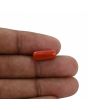 Red Coral (Moonga) - 4.5 Carat 