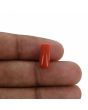 Red Coral (Moonga) - 4.5 Carat 