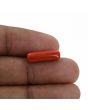 Red Coral (Moonga) - 4.6 Carat 
