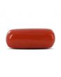 Red Coral (Moonga) - 5.46 Carat 