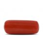 Red Coral (Moonga) - 5.46 Carat 
