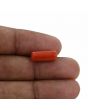 Red Coral (Moonga) - 5.46 Carat 