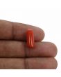 Red Coral (Moonga) - 5.46 Carat 