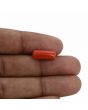 Red Coral (Moonga) - 5.46 Carat 