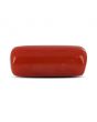 Red Coral (Moonga) - 4.93 Carat 