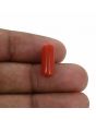 Red Coral (Moonga) - 4.93 Carat 