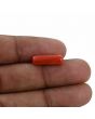 Red Coral (Moonga) - 4.59 Carat 