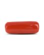 Red Coral (Moonga) - 6.23 Carat 