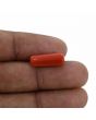 Red Coral (Moonga) - 6.23 Carat 