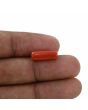 Red Coral (Moonga) - 4.57 Carat 