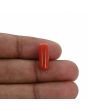 Red Coral (Moonga) - 5.76 Carat 
