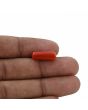 Red Coral (Moonga) - 5.76 Carat 
