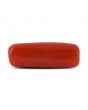 Red Coral (Moonga) - 5.24 Carat 