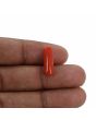 Red Coral (Moonga) - 5.24 Carat 