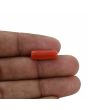Red Coral (Moonga) - 5.24 Carat 