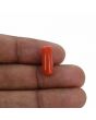 Red Coral (Moonga) - 5.76 Carat 