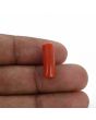 Red Coral (Moonga) - 5.96 Carat 