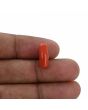 Red Coral (Moonga) - 4.7 Carat 