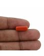 Red Coral (Moonga) - 4.7 Carat 