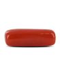 Red Coral (Moonga) - 4.93 Carat 