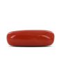 Red Coral (Moonga) - 4.6 Carat 