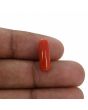 Red Coral (Moonga) - 4.6 Carat 