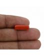 Red Coral (Moonga) - 4.6 Carat 