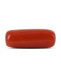 Red Coral (Moonga) - 5.64 Carat 